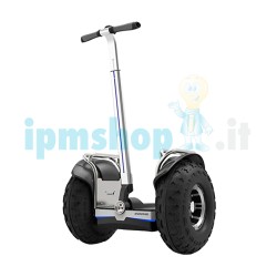 ESWING - Segway ES6S - Gray - Self-balancing electric scooter