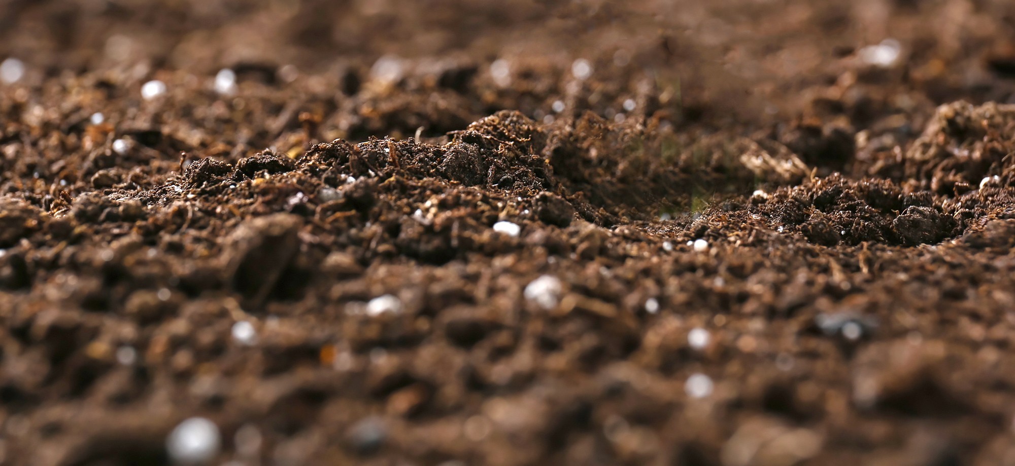 Substrates and Soils