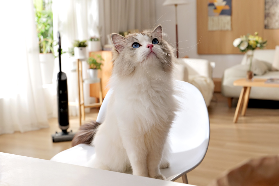 Ezviz | RH1 - Pet Hair Vacuum Cleaner