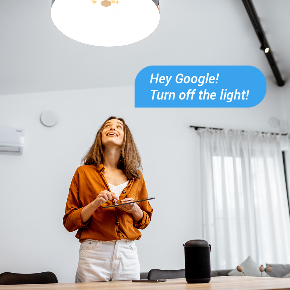 Ezviz | LB1 - Voice Assistants