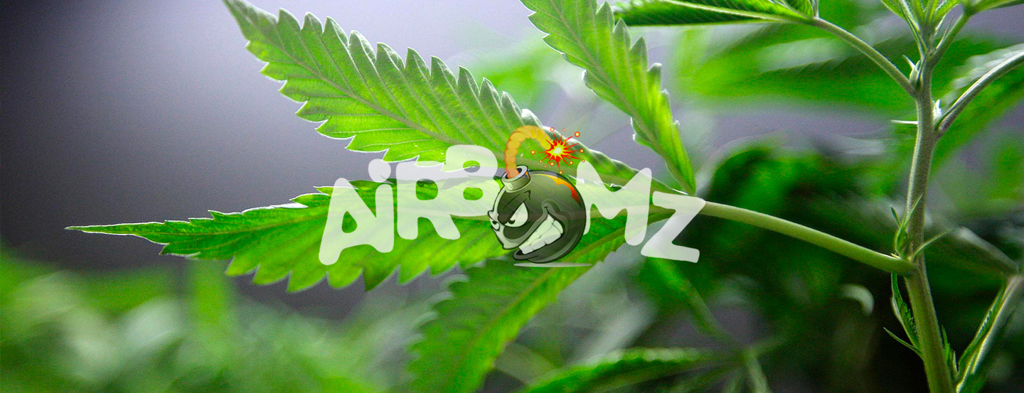 Airbomz