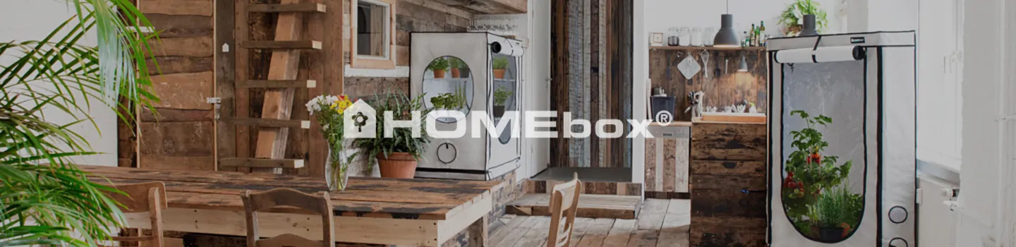 Homebox