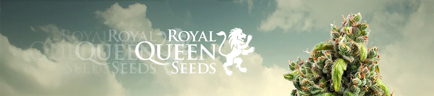 Royal Queen Seeds